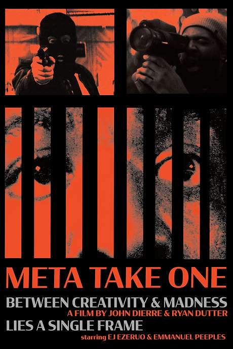 Meta Take One